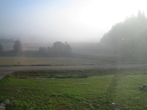 1934774.jpg