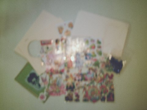 1910982.jpg